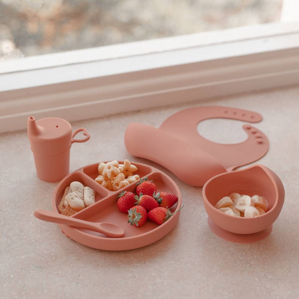 Silicone Baby Feeding Set — Brandy Rose