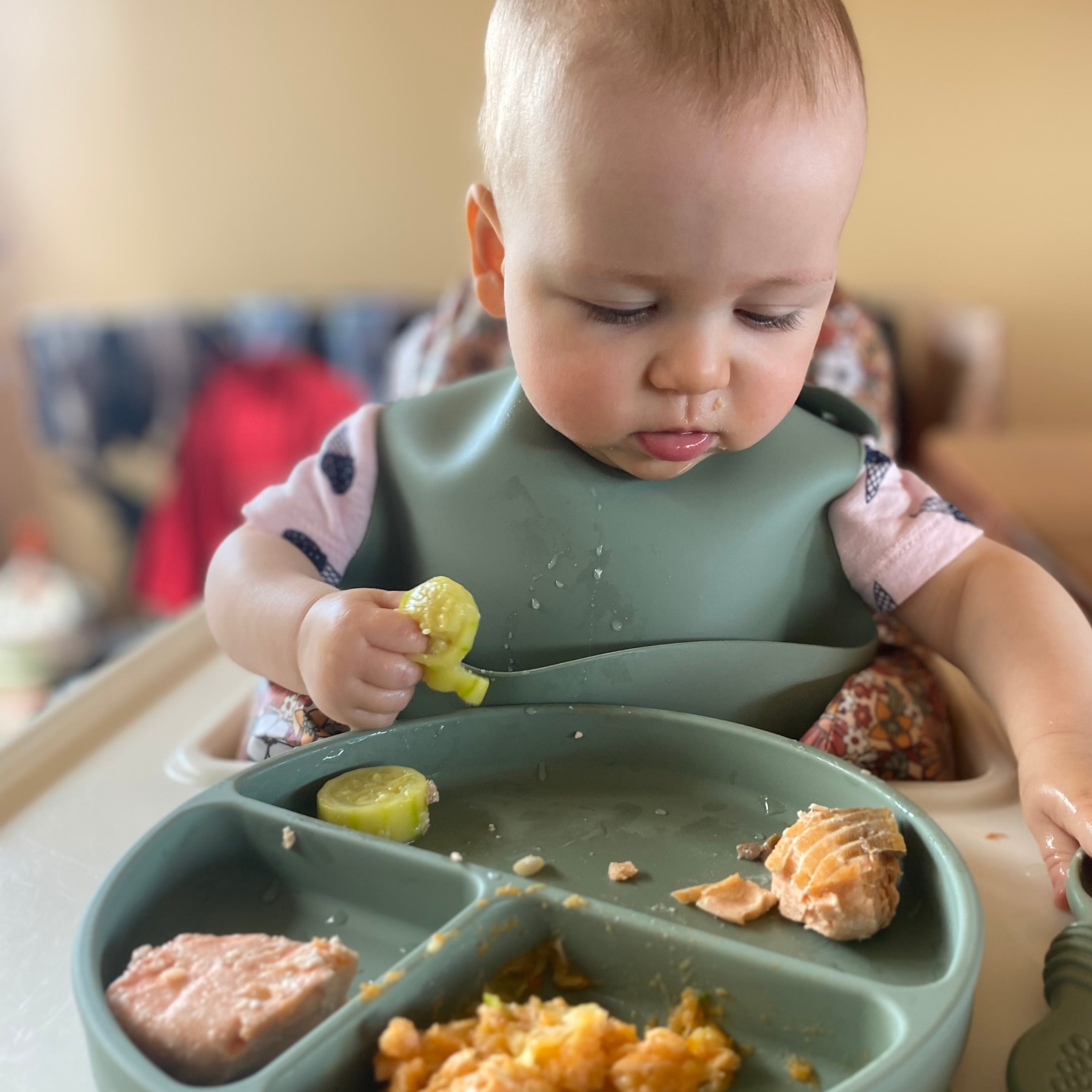 Silicone Baby Feeding Set — Chalet Green